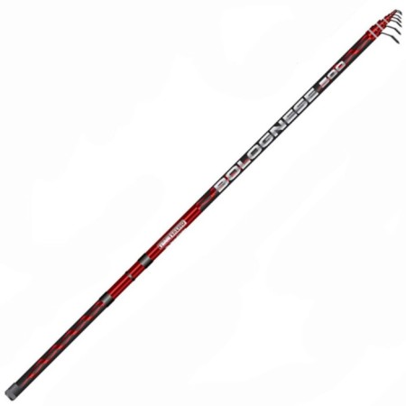 The float rod with the Rings Team Salmo Bolognes, test 2-15 g, length 5 m.