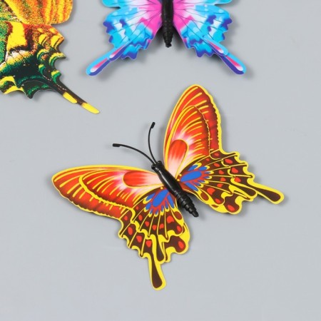 Magnet Plastic "Summer Butterfly" set of 12 pcs mix h = 4.4.5,6,8,9,5,13,5,14.5 cm-1