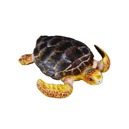 Figure "Griffing Turtle", m
