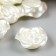 Decor for creativity Plastic "Rose" Pearl set 30 pcs 1.8x1.8 cm