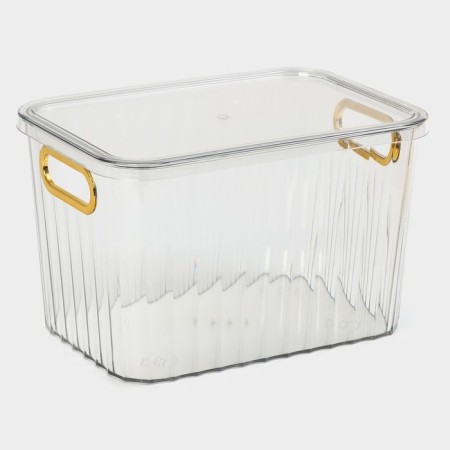 Storage container with a lid "City", 25.5 × 18 × 16 cm, color mix-4
