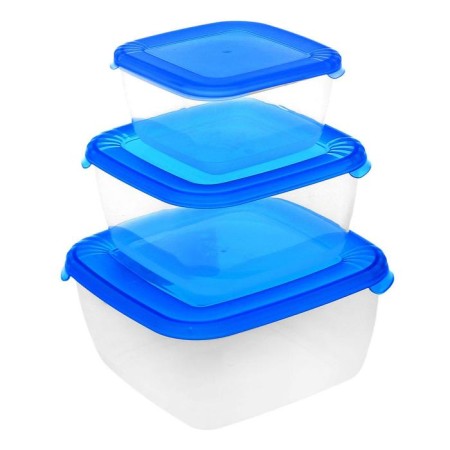 A set of food containers "Light", 3 pcs: 460 ml, 950 ml, 1.5 l, color mix-5