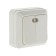 UNIVERSAL Olympus switch, 10 A, 2 keys, external, backlight, white