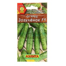 Cucumber seeds 