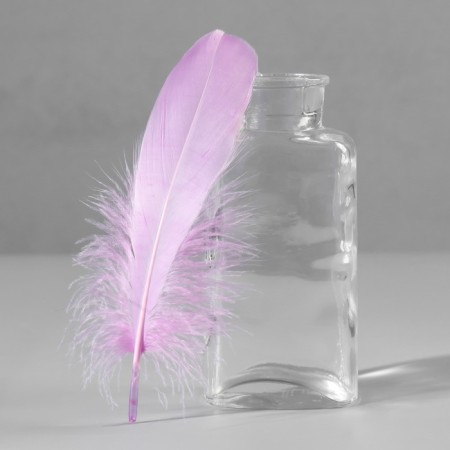 A set of feathers of the goose 13-18 cm, 20 pcs, light lilac