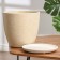 Flower pot "Beige bud №6", 8 l