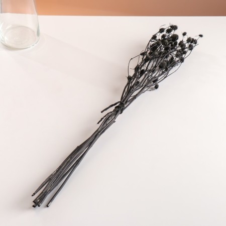 A set of dried flowers "Eringium", ban 5 pcs, length 50 (+/- 6 cm), black-3