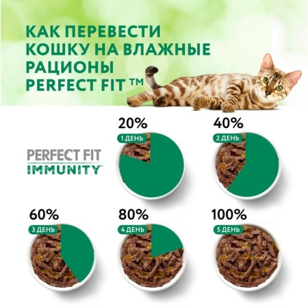 Wet feed Perfect Fit immunity for cats, turkey, spirulina, spider, 75 g-6