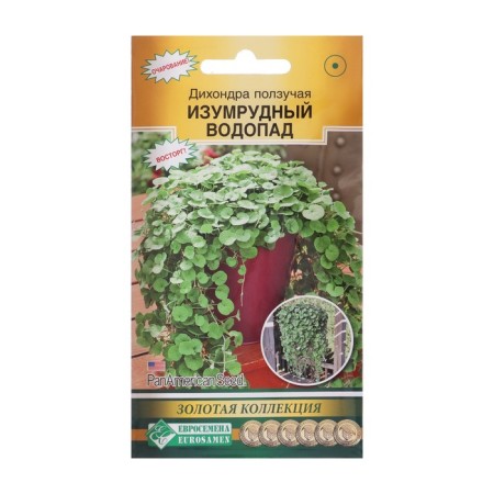 Seeds of Dihondra Flowers creeping "Emerald Waterfall", Drage, 3 pcs