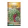 Seeds of Dihondra Flowers creeping "Emerald Waterfall", Drage, 3 pcs