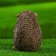 Garden figure "Hedgehog with sweet mushrooms" 11x8x10 cm