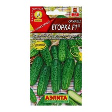 Cucumber seeds 