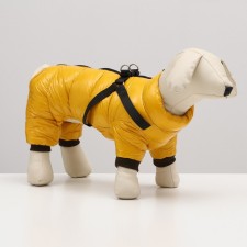 Kombinson for dogs with a slope 