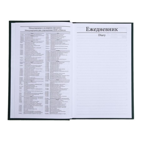 Deliciper of Leduced A5, 128 sheets, boumvinyl cover, green-12