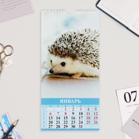 The calendar on the cross "kids in nature" 2025, 16.5 x 34 cm-1
