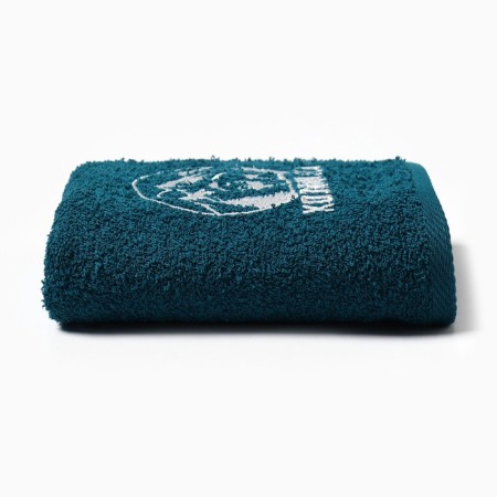 Tainted towel "Forest owner" 35x60 cm, 100% cotton, 350 g/m2-2