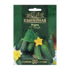 Seeds of cucumber 