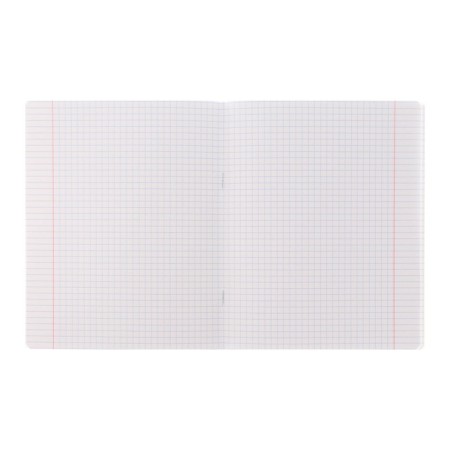 Notebook of 48 sheets in the cage "Goose-Sweat I No. 1", cover coated cardboard, rounded corners, 5V, mix-2