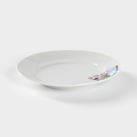 Porcelain plate "Raccoon", D = 17.5 cm-1