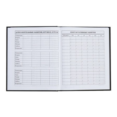 Universal Diary 5-11 classes, 48 ​​sheets "Leo", SoftTouch, solid cover, block 65 g/m2-6