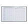 Universal Diary 5-11 classes, 48 ​​sheets "Leo", SoftTouch, solid cover, block 65 g/m2