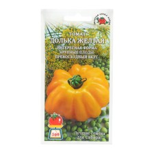 Seed tomato 