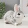 Piggy bank "Rabbit No. 1 Farm" Height 14 cm, width 10 cm, length 18 cm