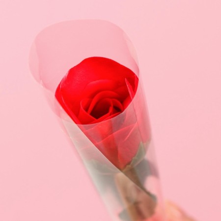 Soap rose, red-4