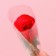 Soap rose, red
