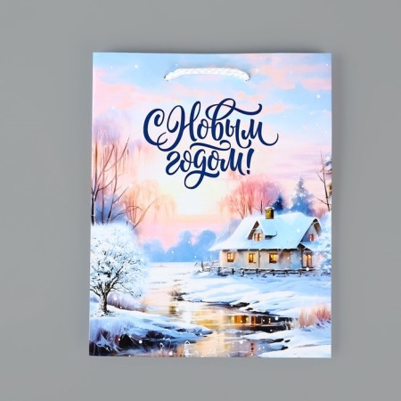 Package Gift New Year Laminated "Winter Village", MS 18 x 23 x 8 cm, New Year-3