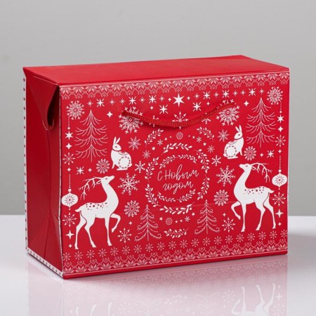 Package - “Feast Magic”, 23 x 18 x 11 cm, New Year-1