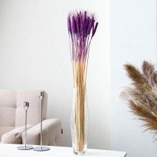 Dry Colossus of wheat, set 50 pcs., Purple color