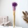 Dry Colossus of wheat, set 50 pcs., Purple color