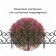 Decorative fence, 32 × 300 cm, 6 sections, plastic, black