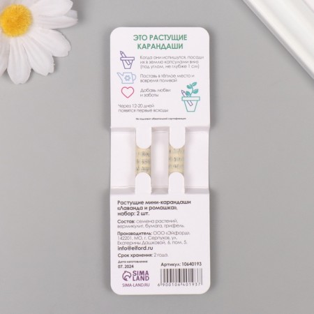 Growing gift pencils mini "chamomile + lavender" set 2 pcs.-1