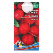 Seeds Radis 
