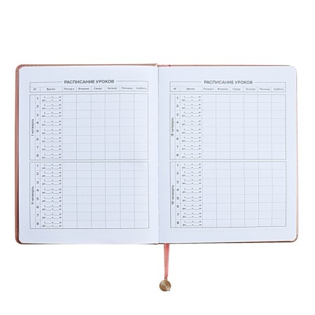 Universal Grade 1-11 Diary, 48 sheets "Pattern", solid cover of artificial leather, foil embossing, liesse, universal cheat sheet, block 80 g/m2-6