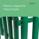 Decorative fence, 30 × 300 cm, 5 sections, plastic, green, Greengo