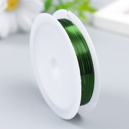 Wire for creativity "Astra" 0.3 mm, 10 m, green