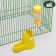 A complex for rodents with a feeder and a drinker of 80 ml, a mix of flowers