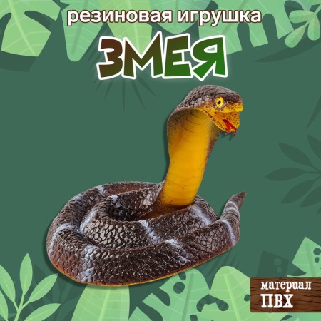 Royal snake "Royal Cobra"