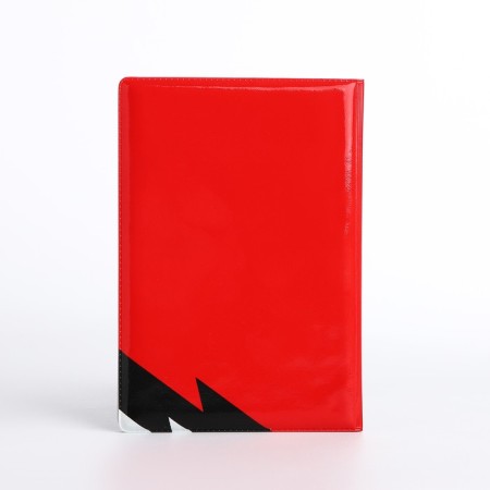 Cover for passport, red color-2