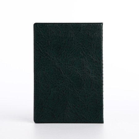 Cover for passport, green color-1