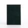 Cover for passport, green color