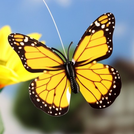 Sueter flying "Sunflower with a butterfly", mix-1