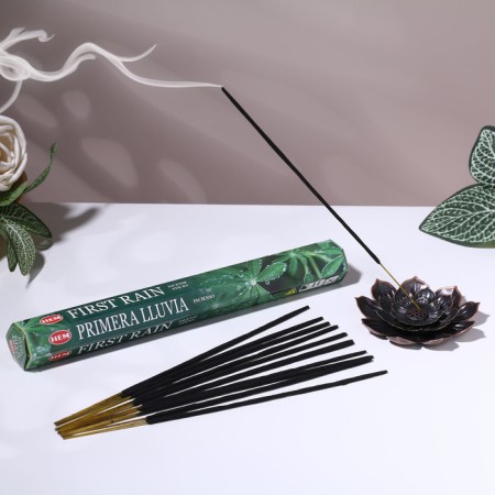 Incense hem "first rain. The first rain", 20 sticks in the package, hexagon