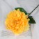 Artificial flowers "velvet peony" 15x55 cm, yellow