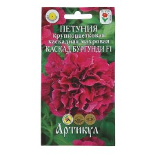 Flowers of Petunia flowers large -flowered terry 