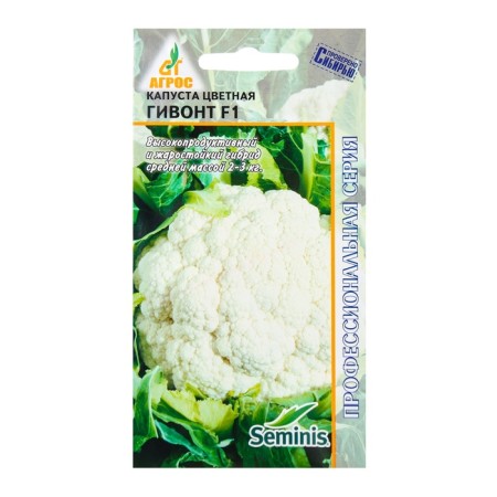 Cabbage Cabbage seeds "Givont" F1 15pcs* Seminis