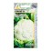 Cabbage Cabbage seeds "Givont" F1 15pcs* Seminis